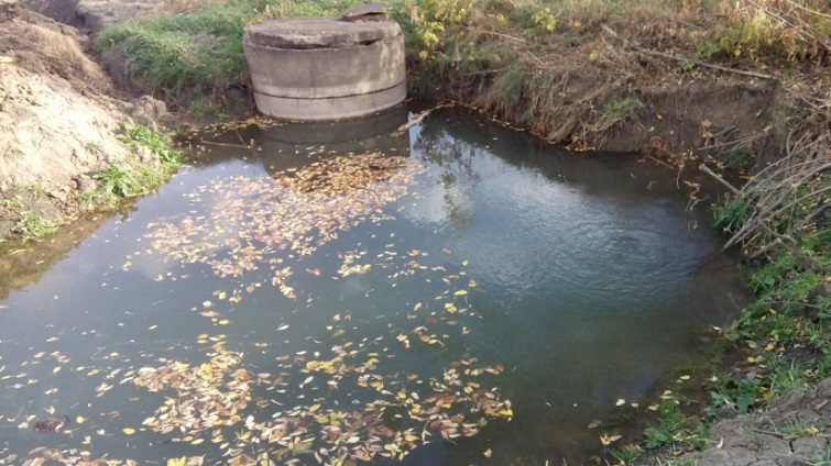 WharrrtsApp Image 2020 10 16 at 19.33.10 820x360