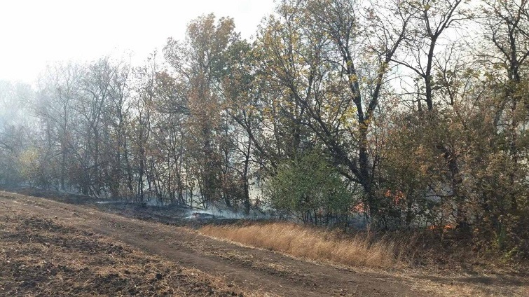 photo 2020 10 09 1frf2 56 05