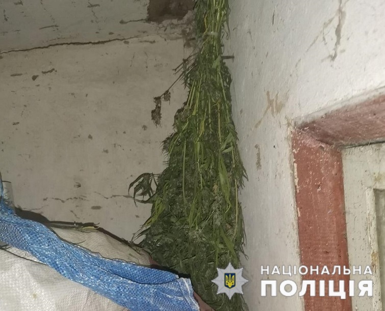 photo 202rk0 10 15 10 33 04