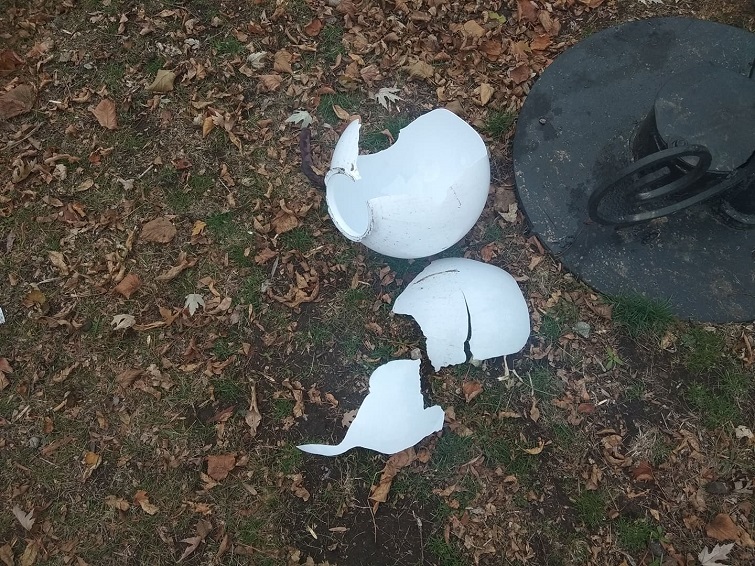 127266328 3374671006091549 3710375950387674949 n