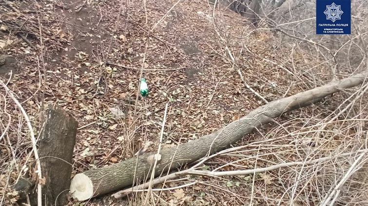 128930903 3702958269724540 234202815062568982 o