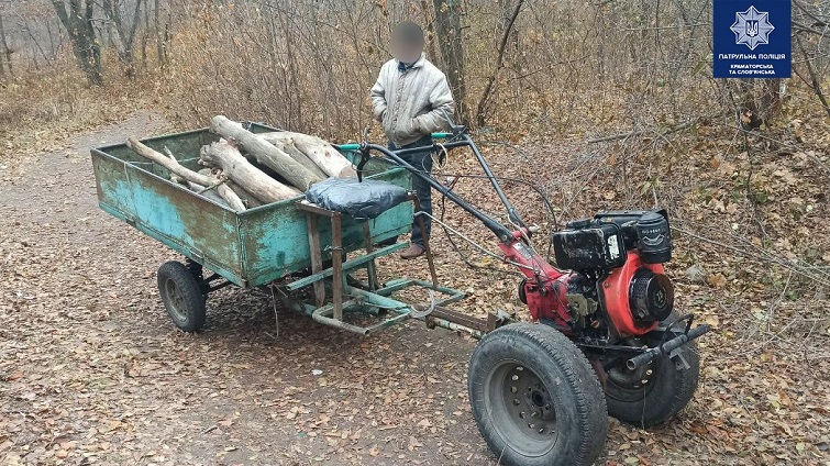 128981026 3702955123058188 7147595667369850258 o