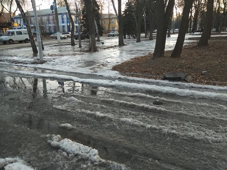 131015094 1353086001734581 6156467108877762412 n