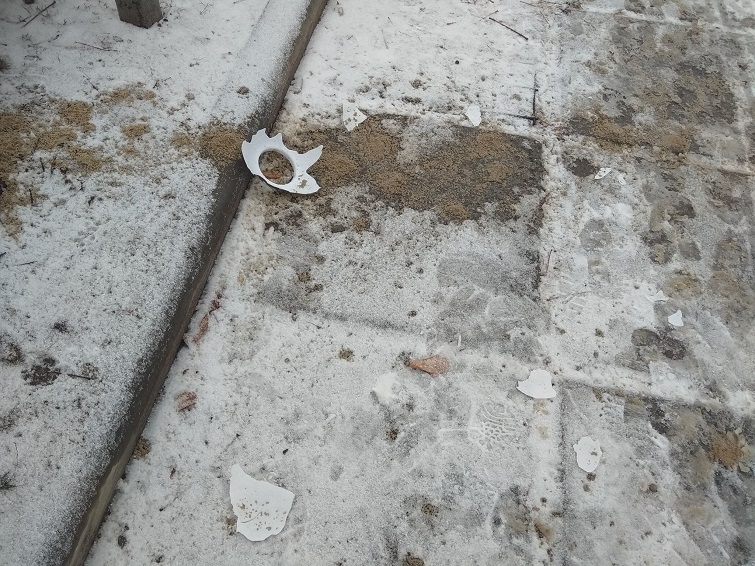 131890080 129733532169938 4923640795498401052 n