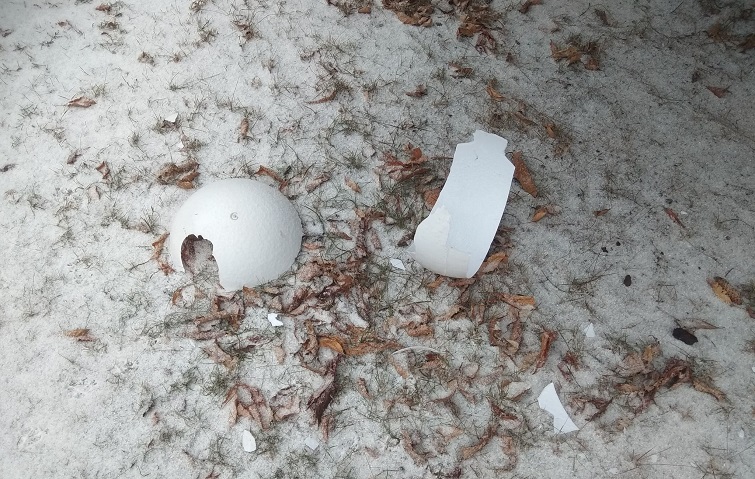 131891894 1046391692547257 1263006867167204869 n