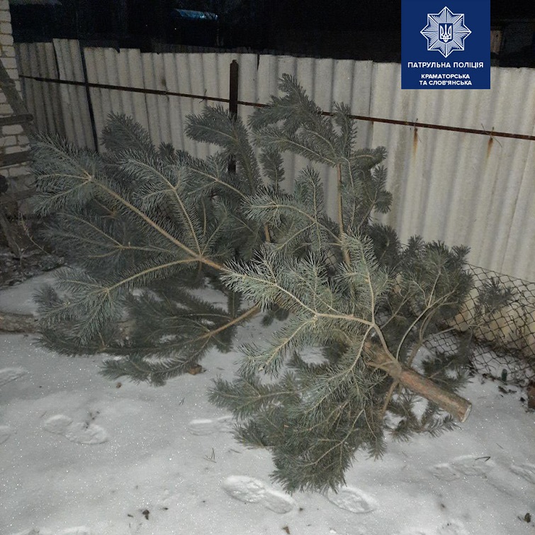 132737420 3759272674093099 3480482970535880896 n