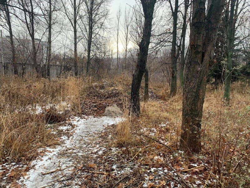 133132624 212572917187303 5030994530065512236 n