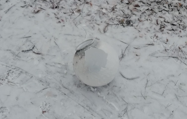  viber 2020 12 18 10 09 51