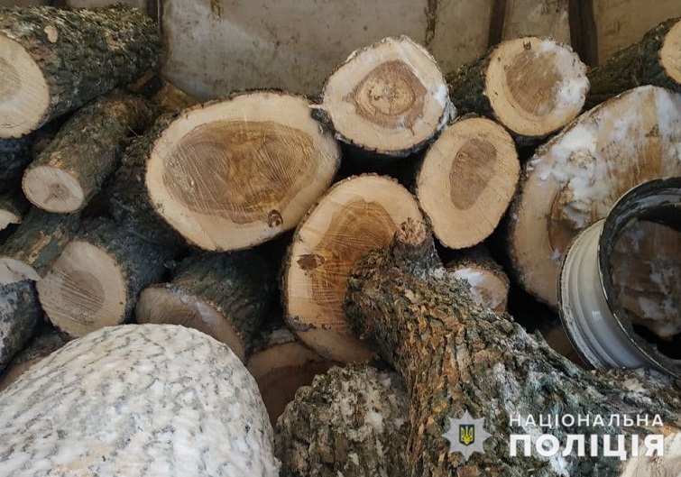 photo 2021g 09 01 22 12 41 41