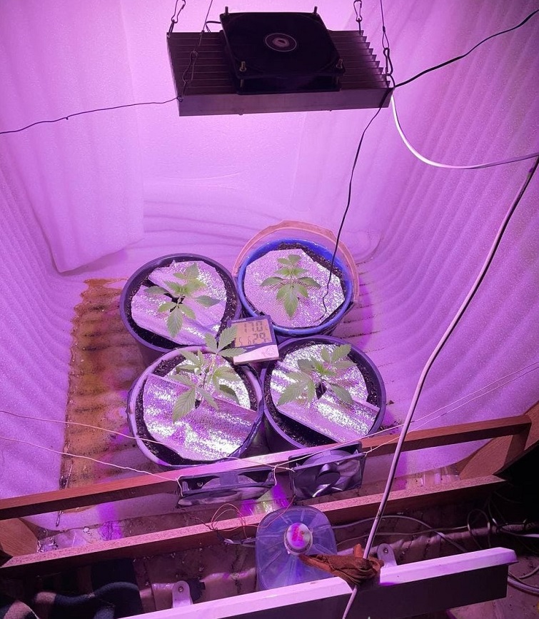 photo 2021 02 1w31 15 09 08