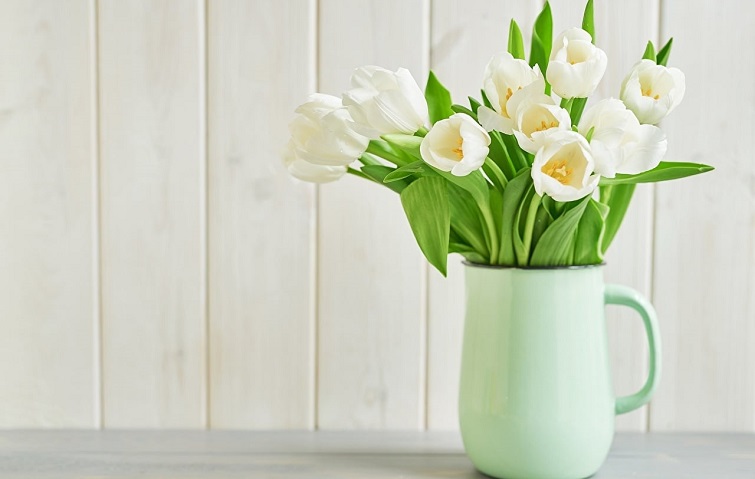 158247405 2937370446508791 420669465543553749 o