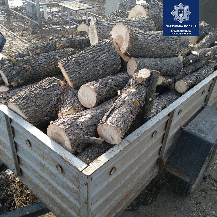 158437318 3961592627194435 9144203375896097129 n