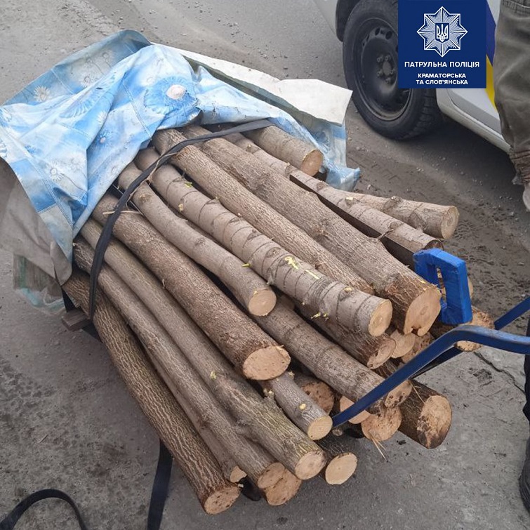 158922380 3961592613861103 6098125913945520255 n