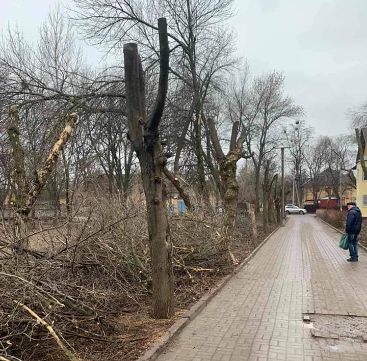 164229772 171340961489328 1973800024609384077 n