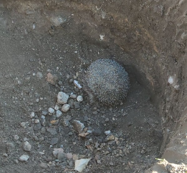 171160150 279418287169432 9113175994513955404 n