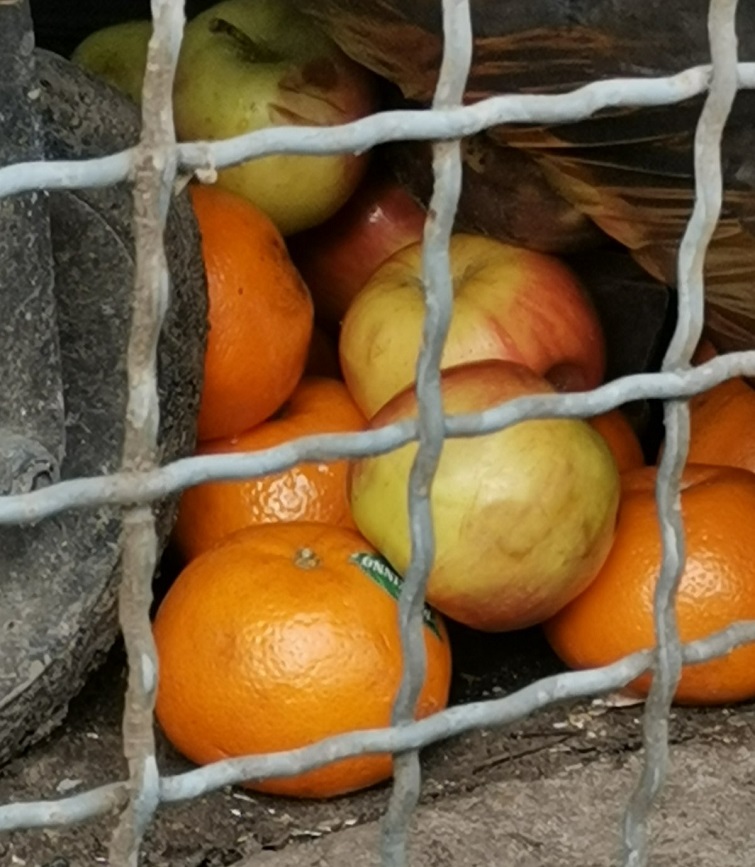 8 viber 2021 04 16 16 41 44