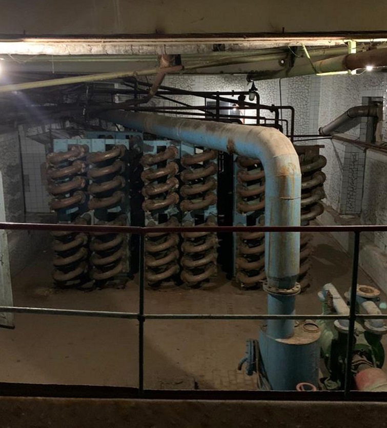 182976792 2780490675501094 7024177289834419633 n