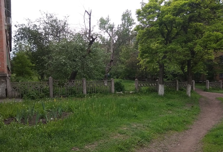 188419321 908171359964898 2839426082926185346 n