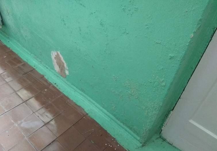 189738142 850187229185021 8927995599141721129 n