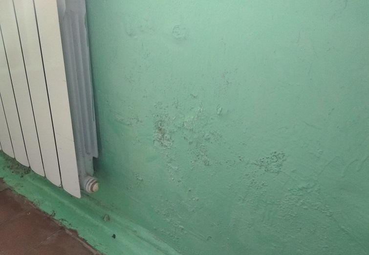 190891089 1230080177423767 1498751862117017559 n