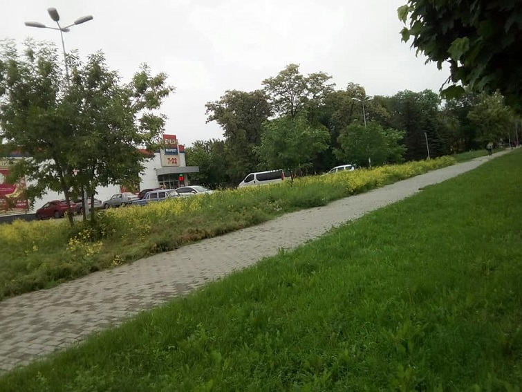 196332658 433168644718083 6071733191174059249 n