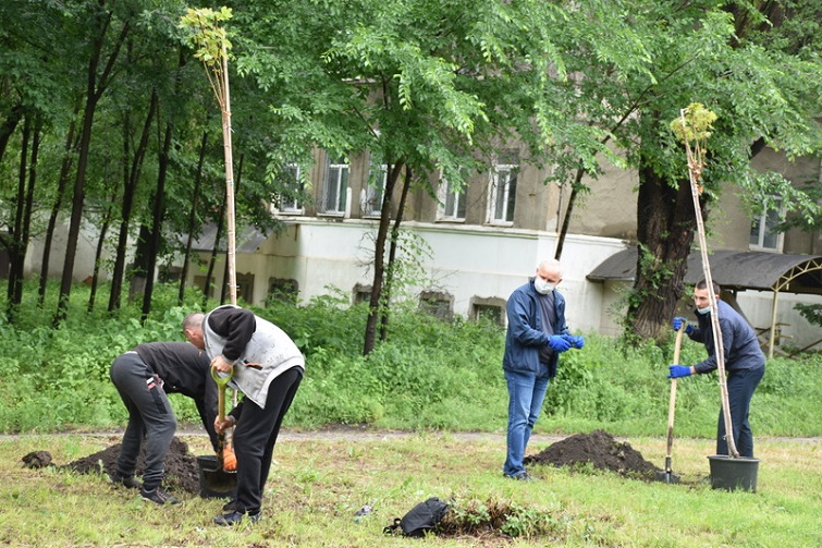 kramatorsk visadka derev 5