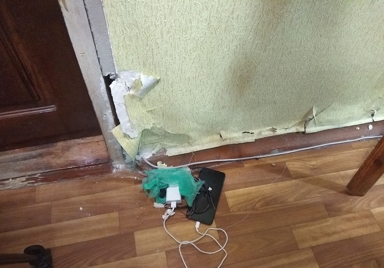 204634713 311422573970722 8134604421548584816 n