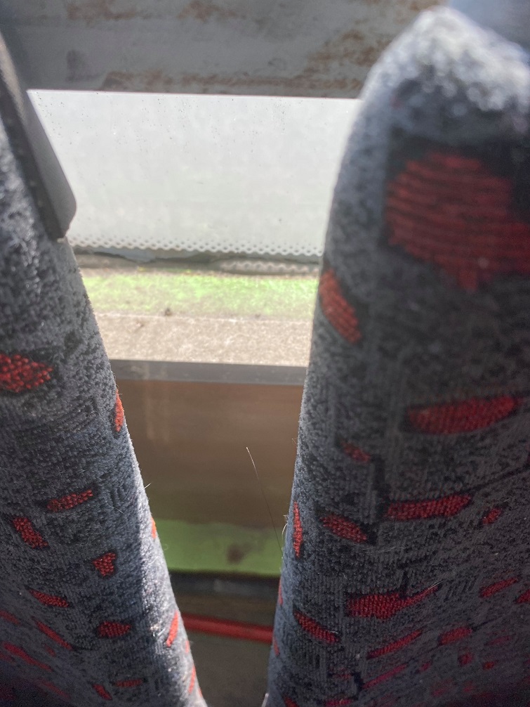 209783770 453540326014248 7996916601012503191 n