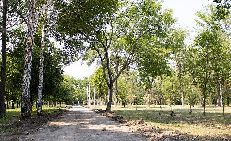 220616605 1163217917769787 6992572083347060450 n