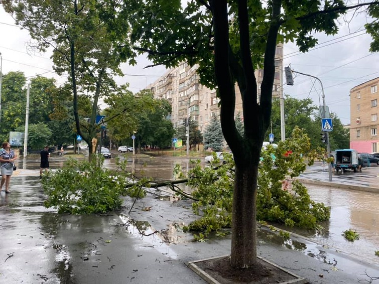 220678589 803837270283691 7299418332748983418 n