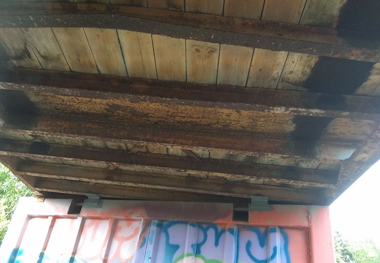 221657859 529039555006557 285819180855040975 n