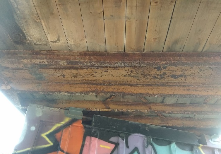 222483223 339569821046178 5770491591126569384 n