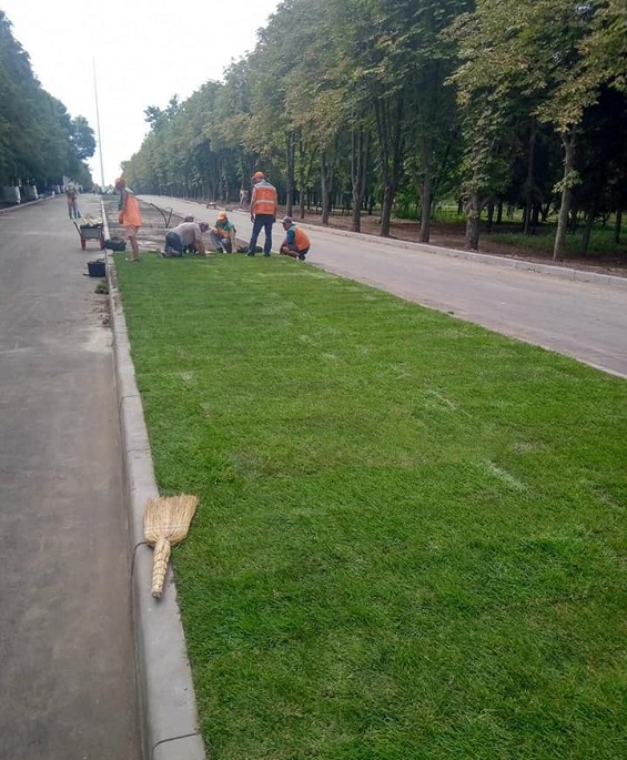 225171270 319519713205247 1871632319426456877 n