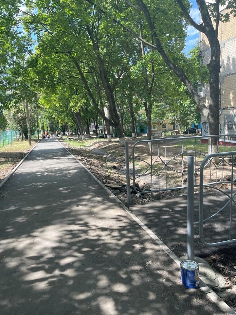 225560307 471922384176042 2061275721350291742 n