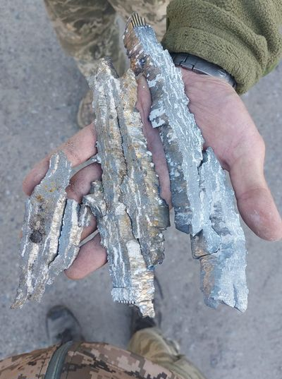 241767109 2867925960090898 8125248689925904804 n