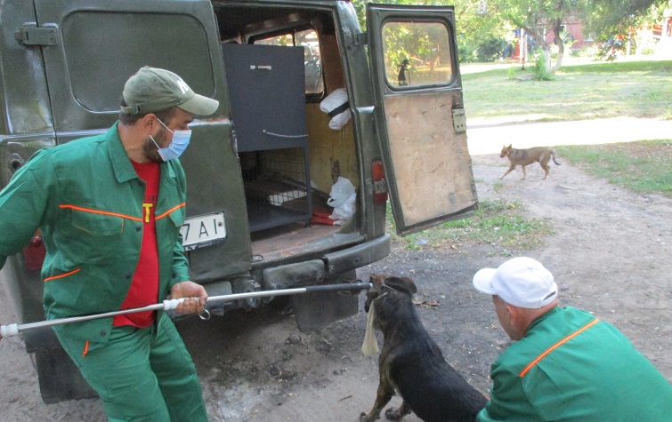 241943490 253080933359883 5446007547119179202 n