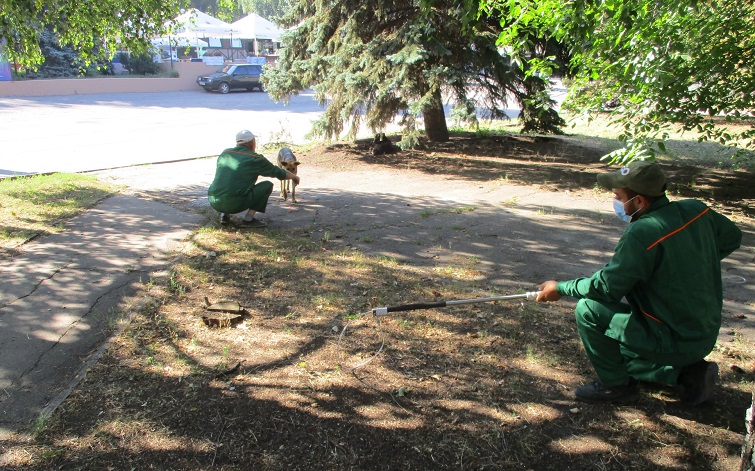 242107539 253080470026596 3092893969628850740 n