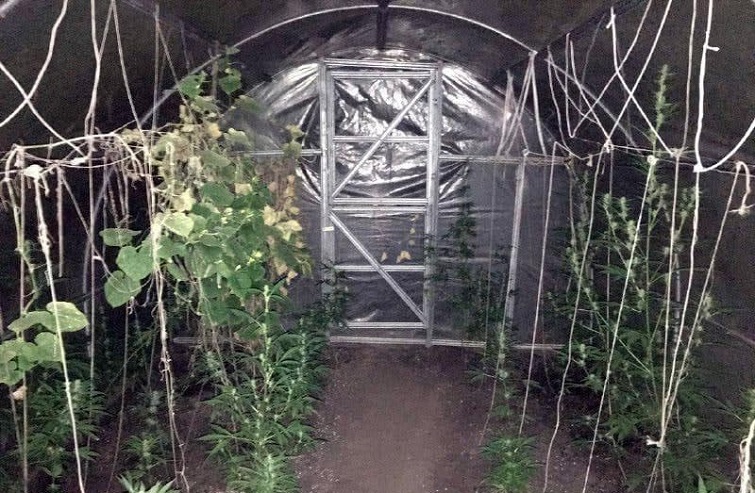 z220oophoto 2021 09 21 19 04 28