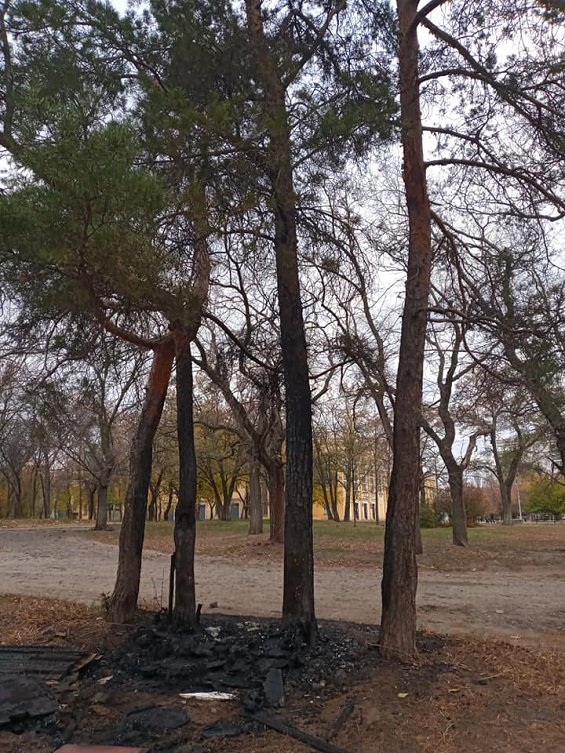 247470908 1750885805105928 2500705196013234578 n