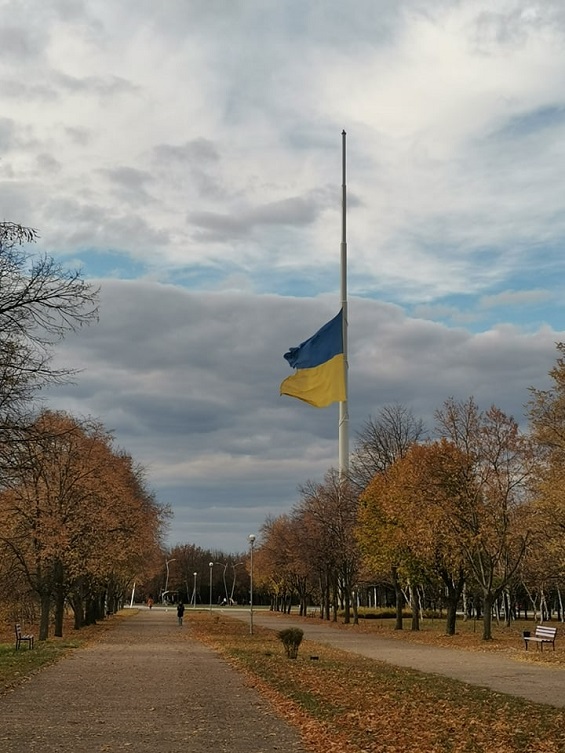 247554604 354748686341241 4370185686245835192 n