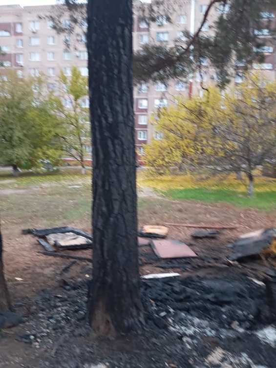 248265904 1750885388439303 5975253810751620877 n