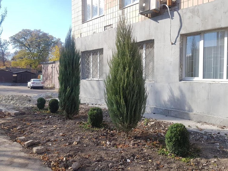 249929239 307269017896521 229005984835595565 n