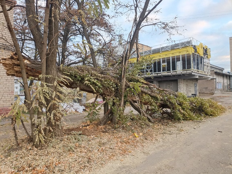 250972170 1467696230281688 7623170116192976371 n