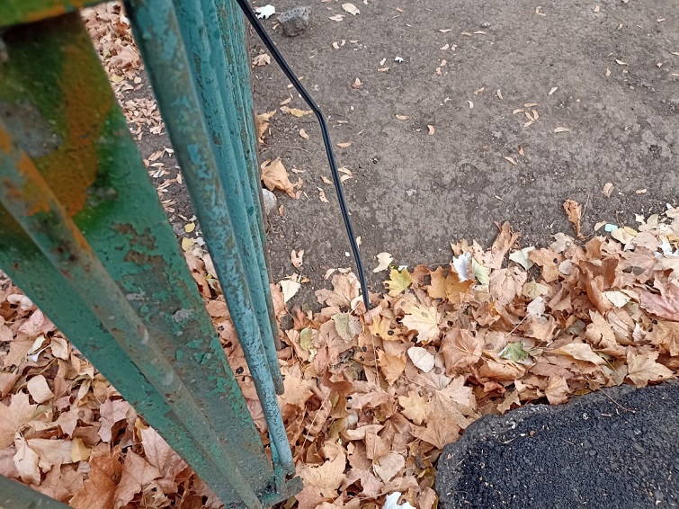 251181898 898191844137961 9140767100669455052 n