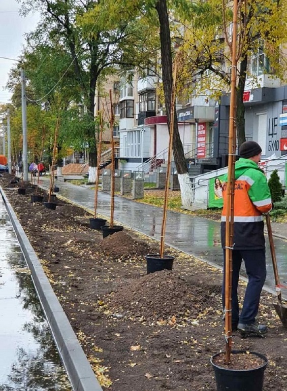 kramatorsk klen1 697x1024