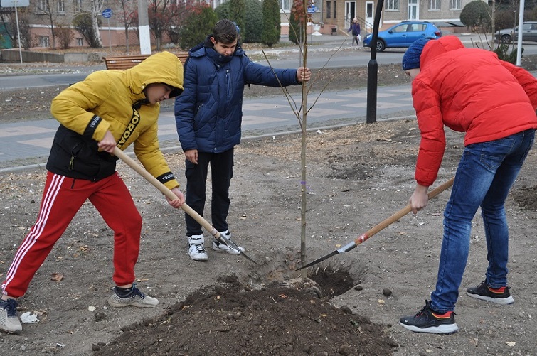 kramatorsk visadka derev 1