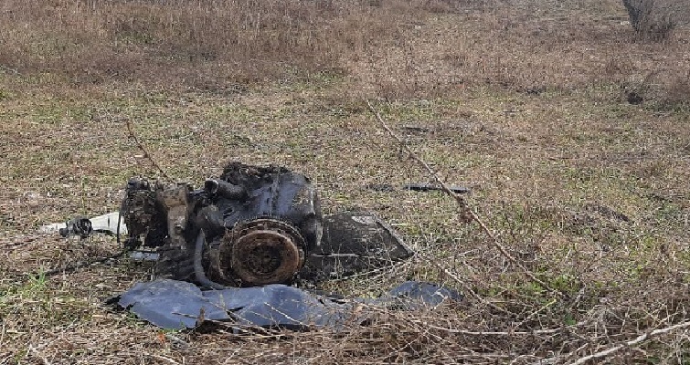 256017272 4696839787003045 2780203278422395442 n