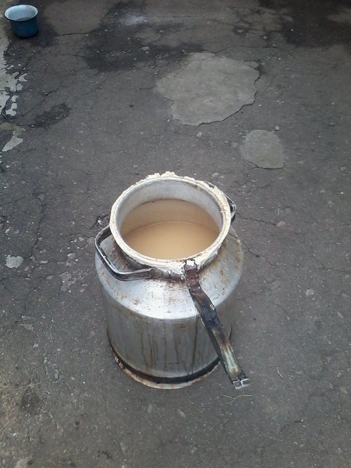 11760223 1451668228472758 5933138753136203062 n