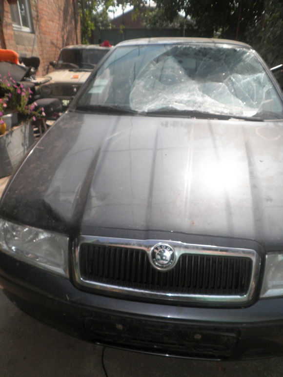 skoda1