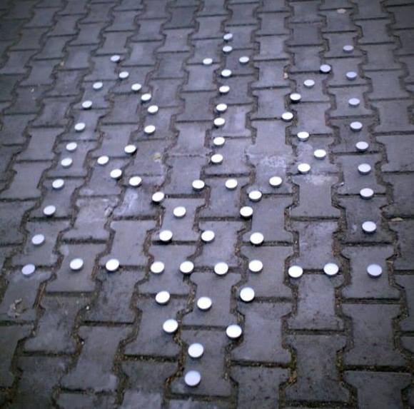 10801518 565904990209788 7378879479008041160 n